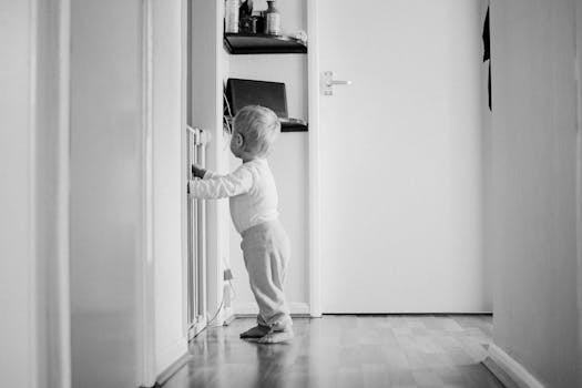 Explore the Thrill of Live Casinos: Real Dealers, Real-Time Play